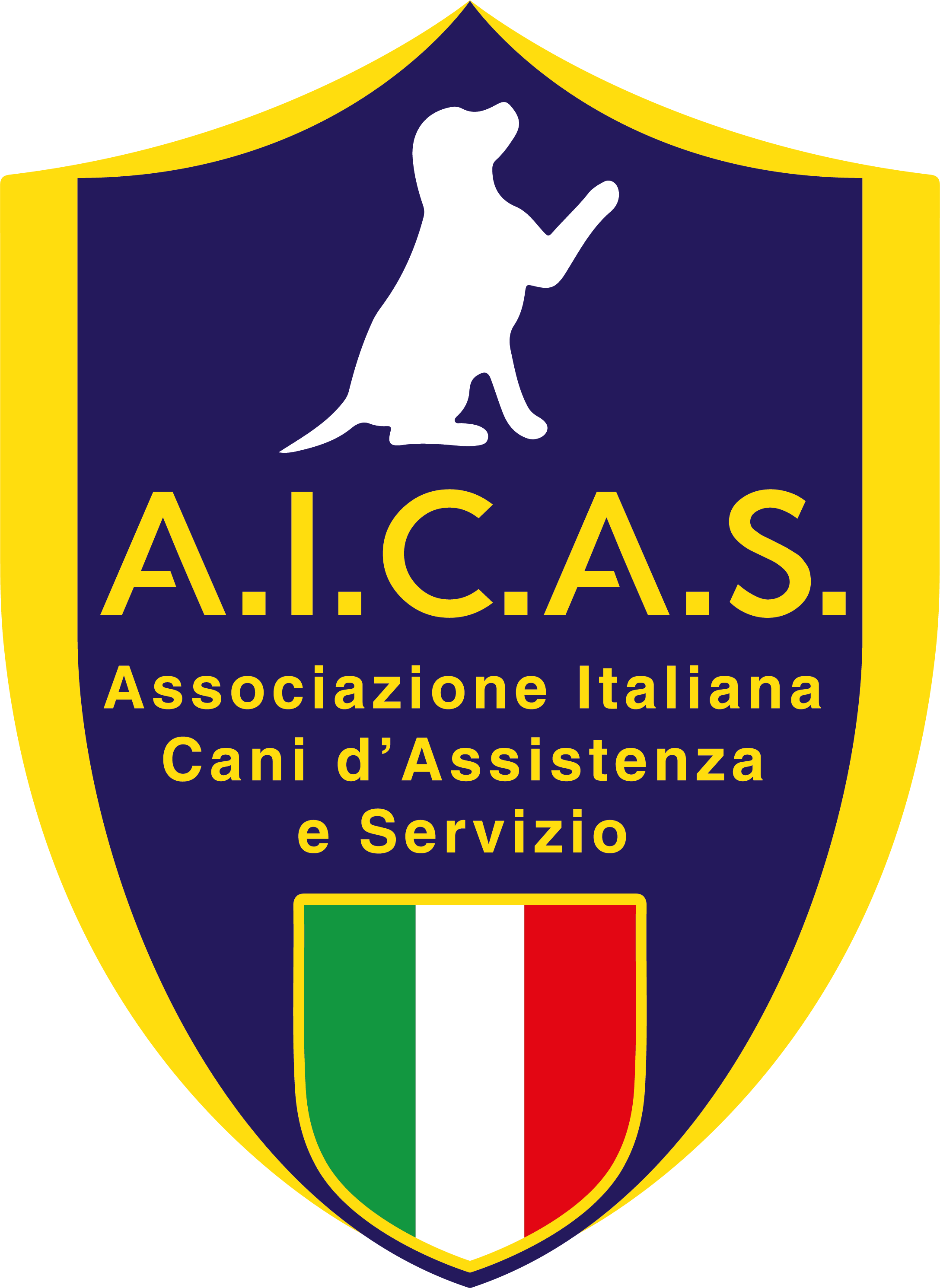 AICAS Italia